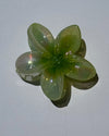 Transparent Plumeria Flower Claw Clips
