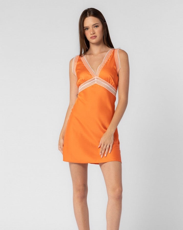 Cecelia Lace Trimmed Slip Dress